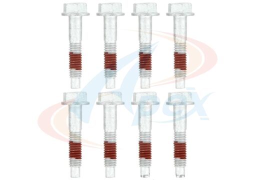 RCK-AES309 - Vis collecteur admission Vortec (x8)